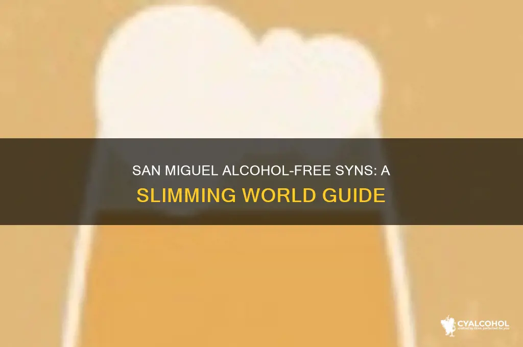 how many syns in san miguel alcohol free