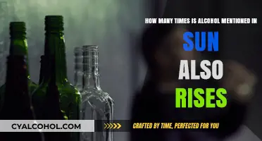 Alcohol's Role in The Sun Also Rises