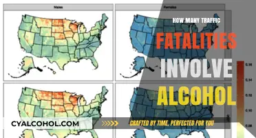 Alcohol-Related Traffic Fatalities: Understanding the Sobering Statistics