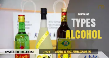 Exploring the Diverse World of Alcohol Types and Varieties