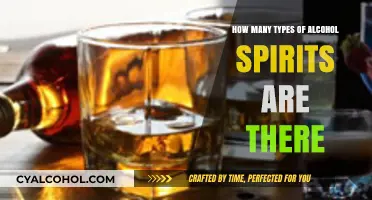 Exploring the Diverse World of Alcohol Spirits and Their Varieties