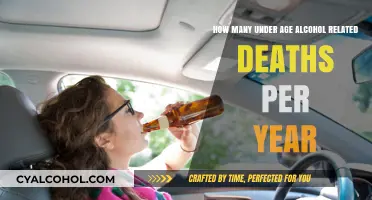 Alcohol-Related Deaths: Youth Tragedy and Loss