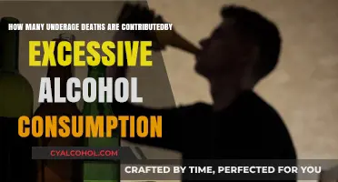 Alcohol's Deadly Toll on Underage Drinkers