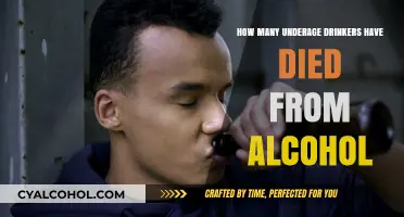 Underage Drinking Deaths: Alarming Statistics and Preventive Measures