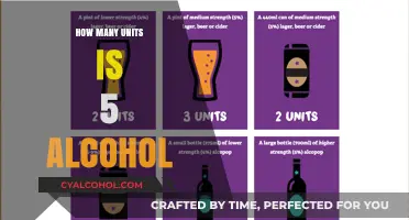 Understanding Alcohol Units: How Much is 5 Drinks?