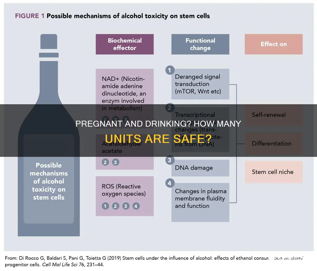 how many units of alcohol a week when pregnant