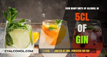 Gin Units: Understanding Your Drink's Alcohol Content