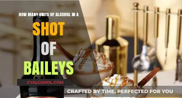 Alcohol Units: A Shot of Baileys Contains How Many?