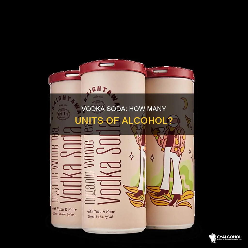 how many units of alcohol in a vodka soda
