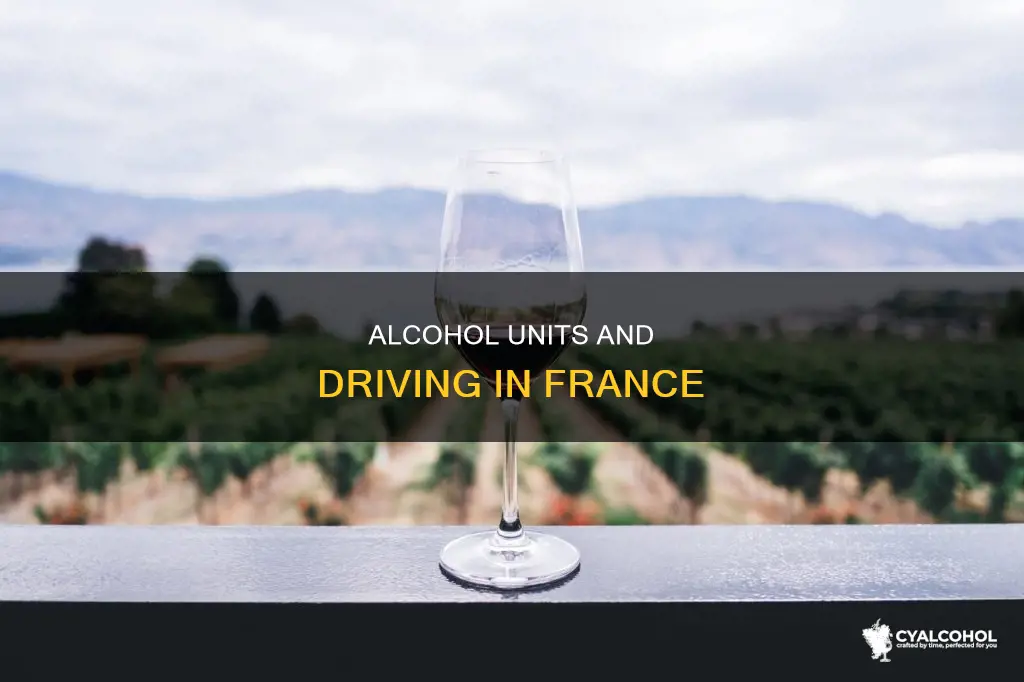 how many units of alcohol to drive in france