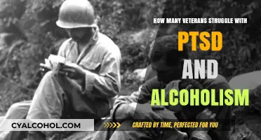 Veterans Battling PTSD and Alcoholism: A Hidden Crisis Unveiled