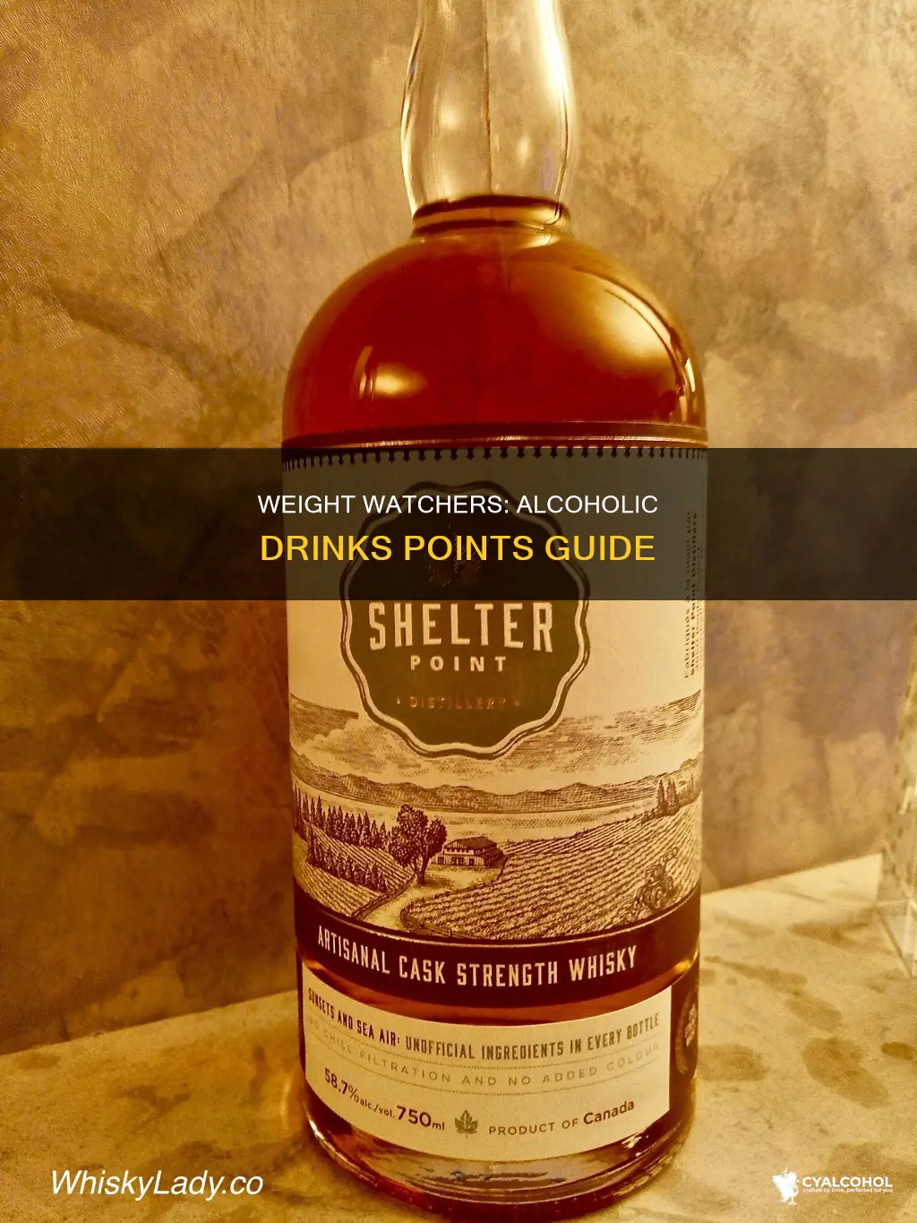 how many weight watchers points are in alcoholic beverages