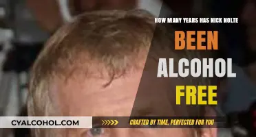 Nick Nolte's Long Journey to Sobriety