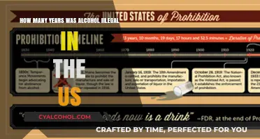 The Prohibition Years: A Dry US History