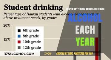 Alcohol's Toll on Young Adults: A Preventable Tragedy