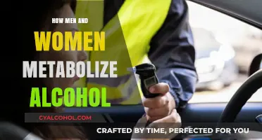 Gender Differences in Alcohol Metabolism: How Men and Women Process Drinks
