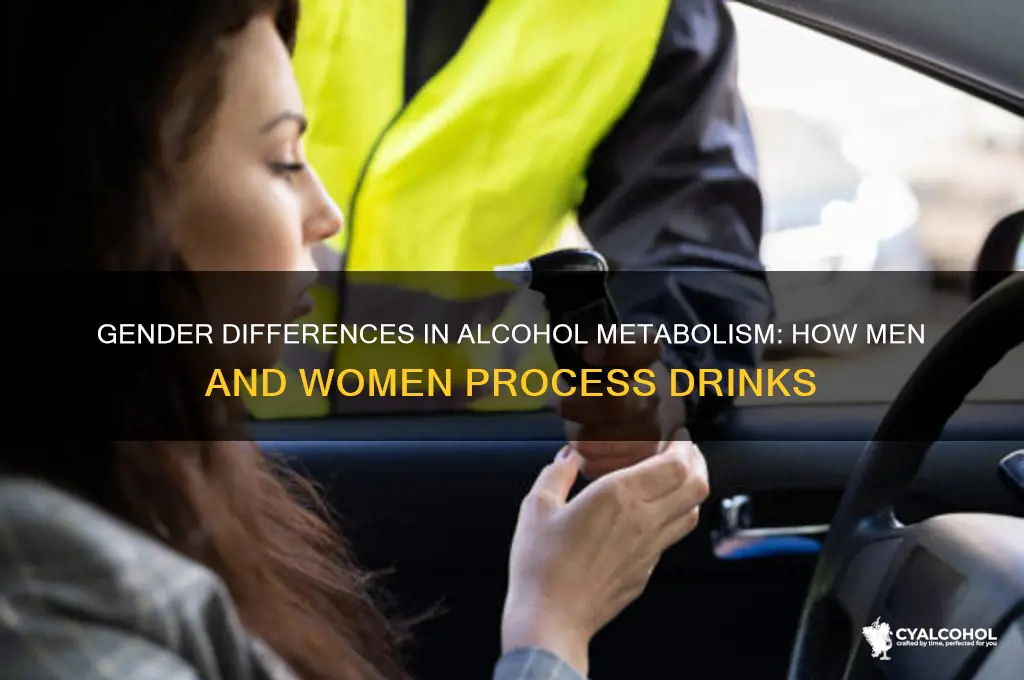 how men and women metabolize alcohol