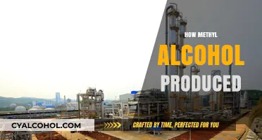 Understanding the Industrial Process of Methyl Alcohol Production
