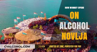 Sobering Truth: Tracking Alcohol Spending in Novlja's Nightlife Scene