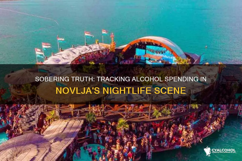 how monney spend on alcohol novlja