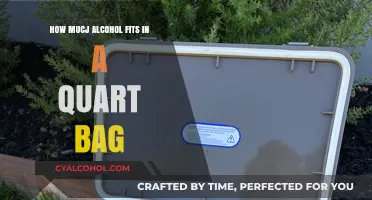 Traveling with Alcohol: How Much Fits in a Quart Bag?