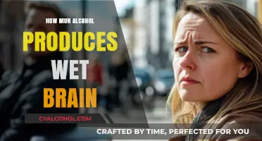 Understanding Wet Brain: Alcohol Consumption Levels and Risks Explained