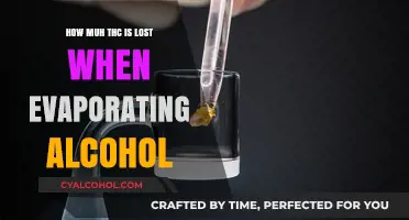 THC Loss During Alcohol Evaporation: Understanding the Process and Impact