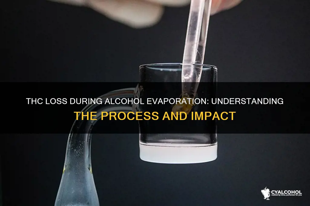 how muh thc is lost when evaporating alcohol