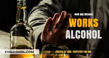 Understanding Naltrexone: How It Blocks Alcohol Cravings and Supports Recovery