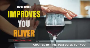 Sober Liver Benefits: How Quitting Alcohol Boosts Liver Health