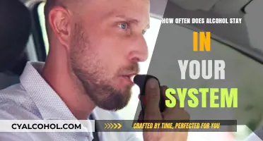 How Long Does Alcohol Remain Detectable in Your Body?