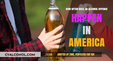 Alcohol Offenses in America: A Frequent Occurrence?
