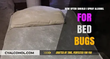 Spraying Alcohol for Bed Bugs: How Frequently Should You Do It?