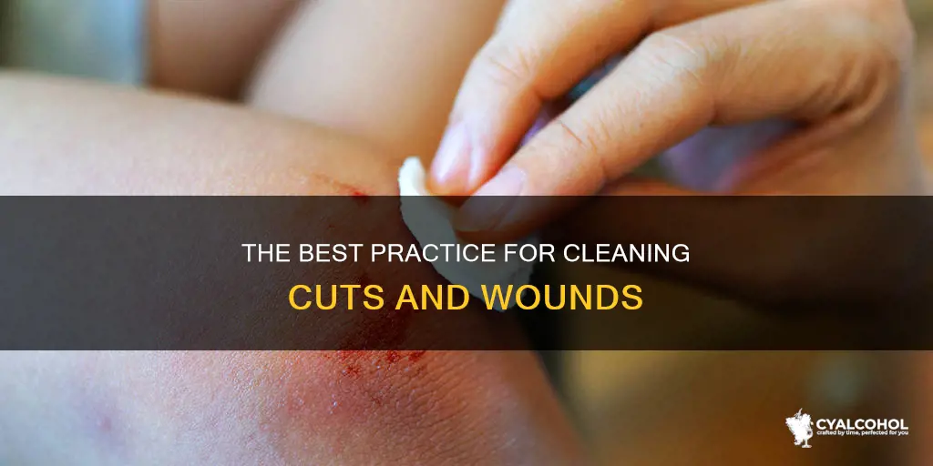 how often should you put alcohol on a cut