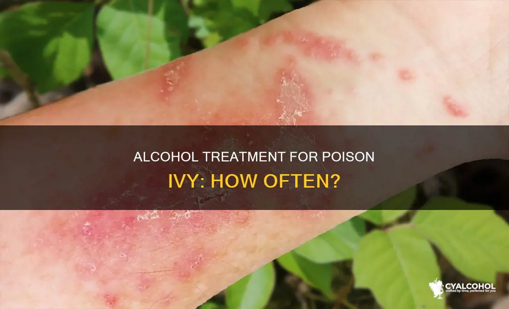 how often should you put alcohol on poison ivy