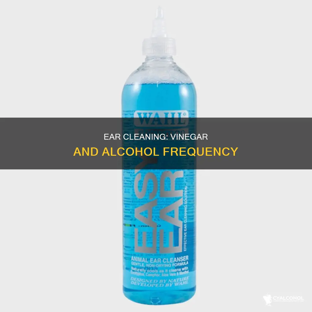 how often to put vinegar and alcohol in ear