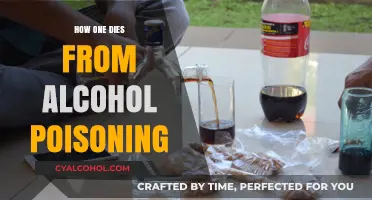 Alcohol Poisoning: Understanding the Deadly Consequences of Overconsumption