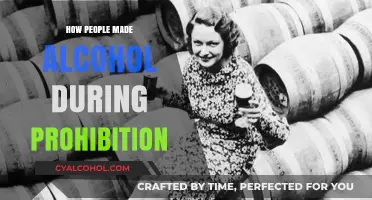 Bootlegging Secrets: How People Crafted Alcohol During Prohibition Era