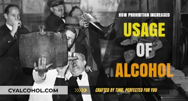 Prohibition's Paradox: How Banning Alcohol Fueled Its Consumption