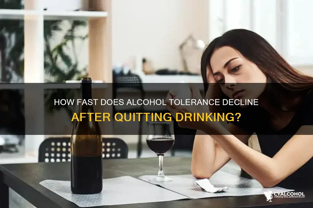 how quick does alcohol tolerance drop
