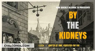 Kidneys and Alcohol: Understanding the Body's Processing Speed