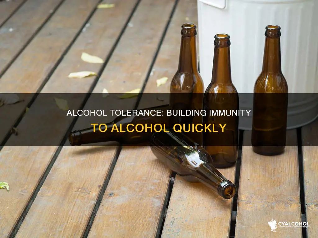 how quickly do you build a tolerance to alcohol