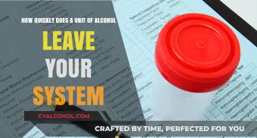 Alcohol Metabolism: How Long Does it Stay in Your System?