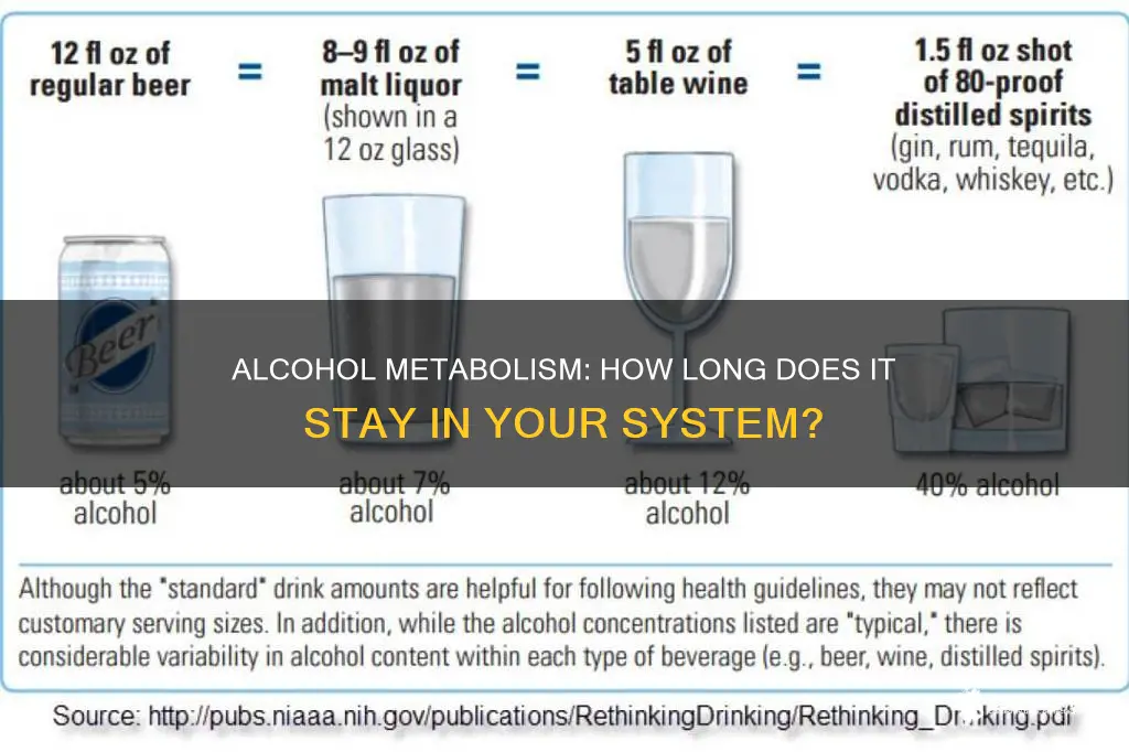 how quickly does a unit of alcohol leave your system