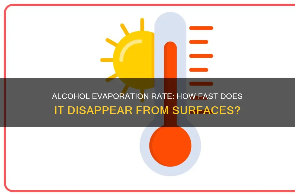 how quickly does alcohol evaporate from a surface