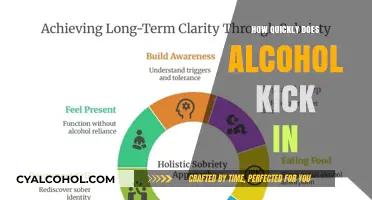 How Fast Does Alcohol Affect You? Understanding Absorption Time