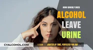 How Fast Does Alcohol Exit Your Urine? Quick Facts Revealed