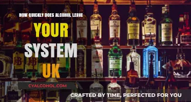 How Fast Does Alcohol Exit Your System in the UK?