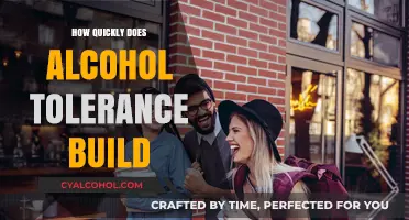 How Fast Does Alcohol Tolerance Develop and Increase?