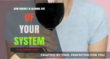 How Fast Does Your Body Eliminate Alcohol? A Quick Guide